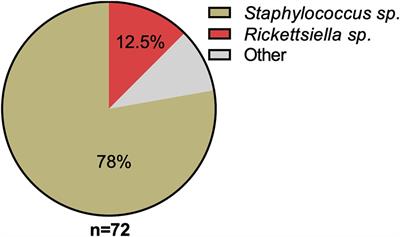 A Rickettsiella Endosymbiont Is a Potential Source of Essential B-Vitamins for the Poultry Red Mite, Dermanyssus gallinae